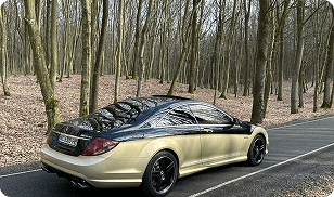 Brawix Black Gloss PPF Photo 1